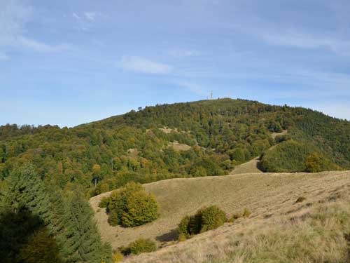 Foto Varful Mogosa (c) Lucian Petru Goja